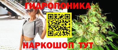 гашишное масло Ачхой-Мартан
