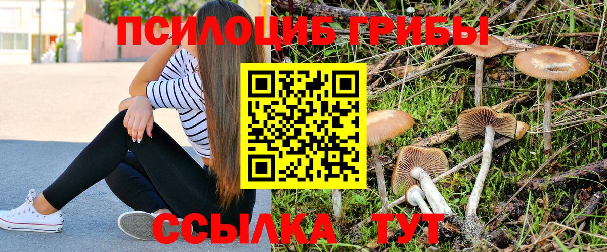 Псилоцибиновые грибы GOLDEN TEACHER Верхний Уфалей
