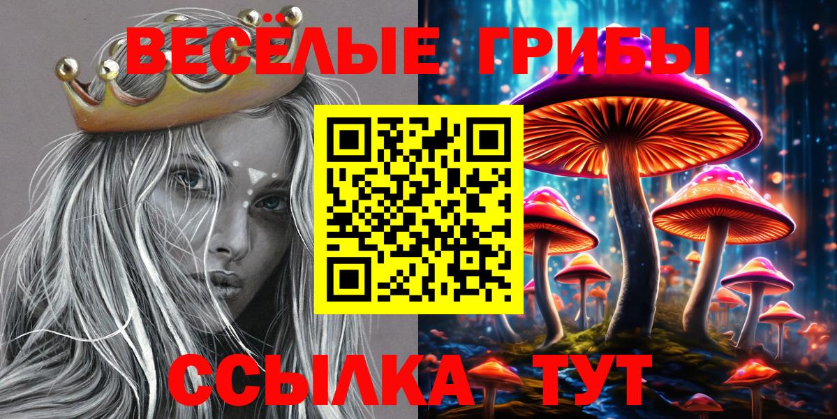 наркота  Галлюциногенные грибы GOLDEN TEACHER  Вход с VPN  Верхний Уфалей 